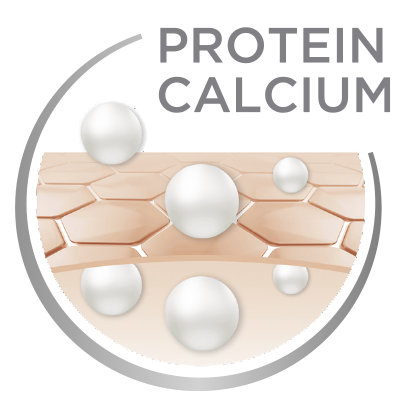 Protein Calcium